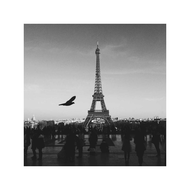 Konjac gélules 90 caps