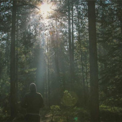 Crème visage anti-âge homme 50ml