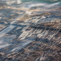 Kit rasoir + 5 lames