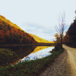 Serviettes ultra-fines x20