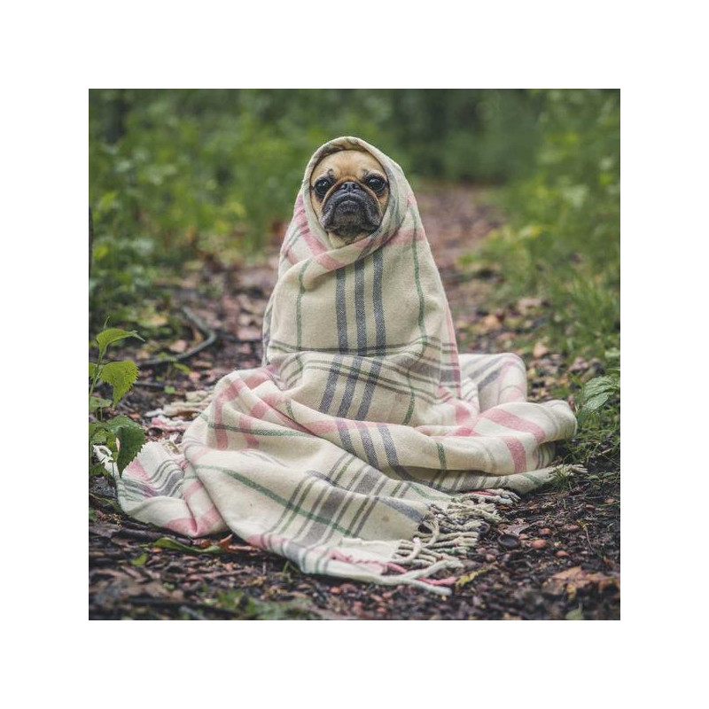 Mousse intime quotidienne 150ml