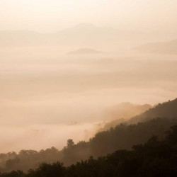 Crème antifongique 30g