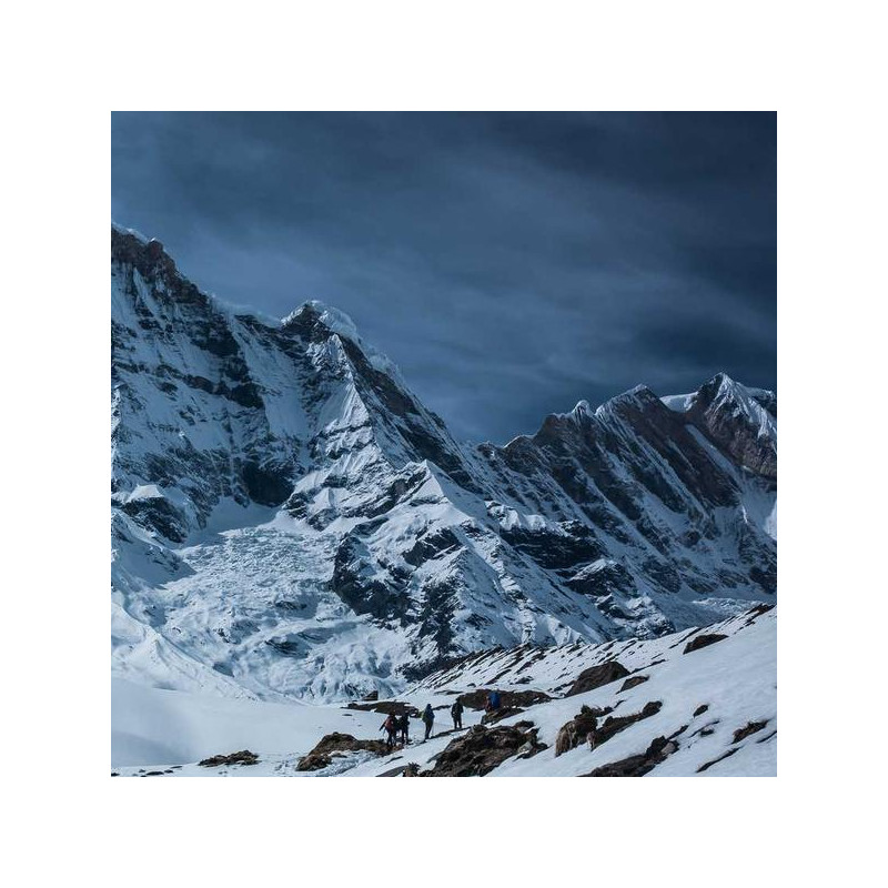 Crème matifiante peau grasse 50ml