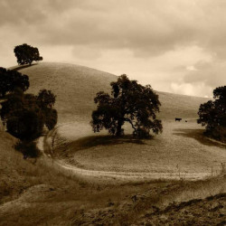 Lait corporel nourrissant karité 400ml