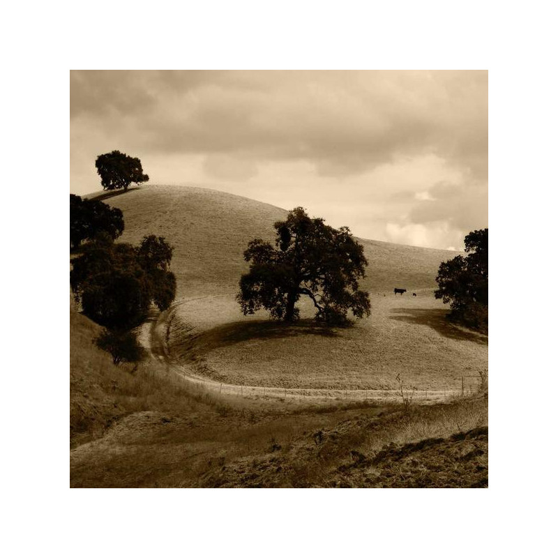 Lait corporel nourrissant karité 400ml