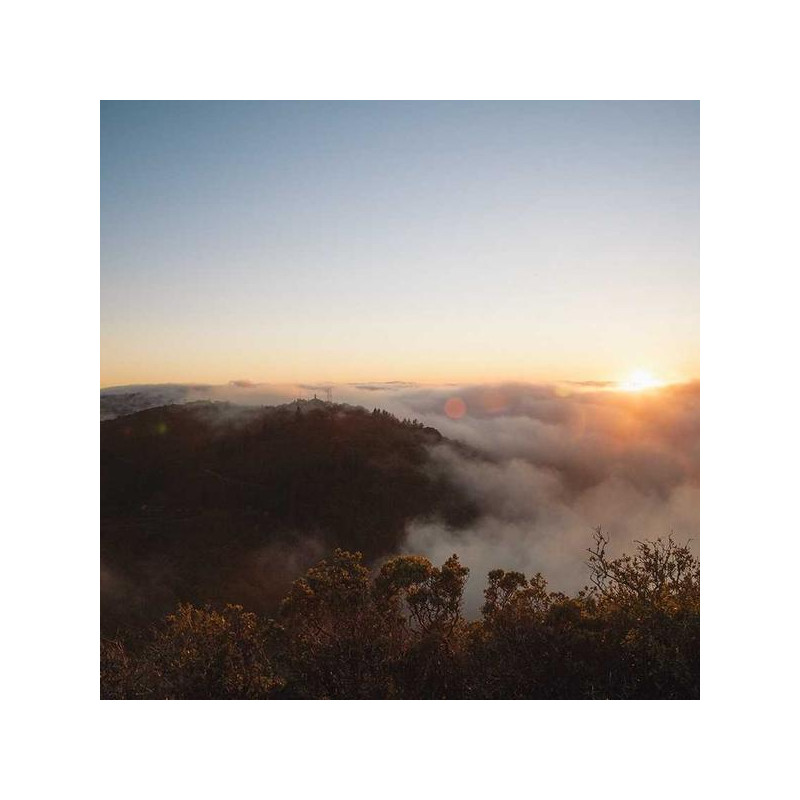 Beurre de karité bio 200ml