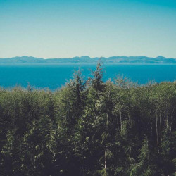 Déodorant 48h sans alcool 50ml