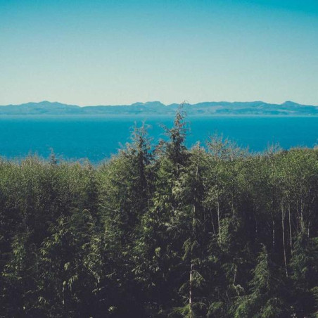 Déodorant 48h sans alcool 50ml