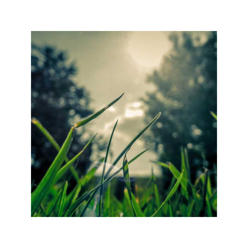 Huile capillaire argan 100ml