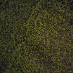 Dentifrice blanchissant 75ml