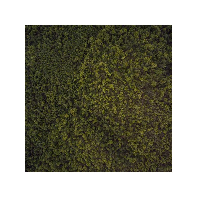 Dentifrice blanchissant 75ml