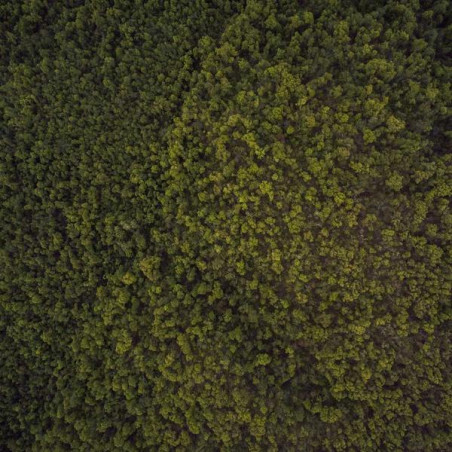 Dentifrice blanchissant 75ml