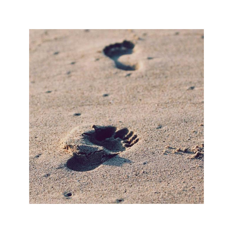 Bain de bouche menthe 500ml