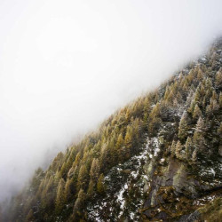 Gel apaisant aphtes 8ml