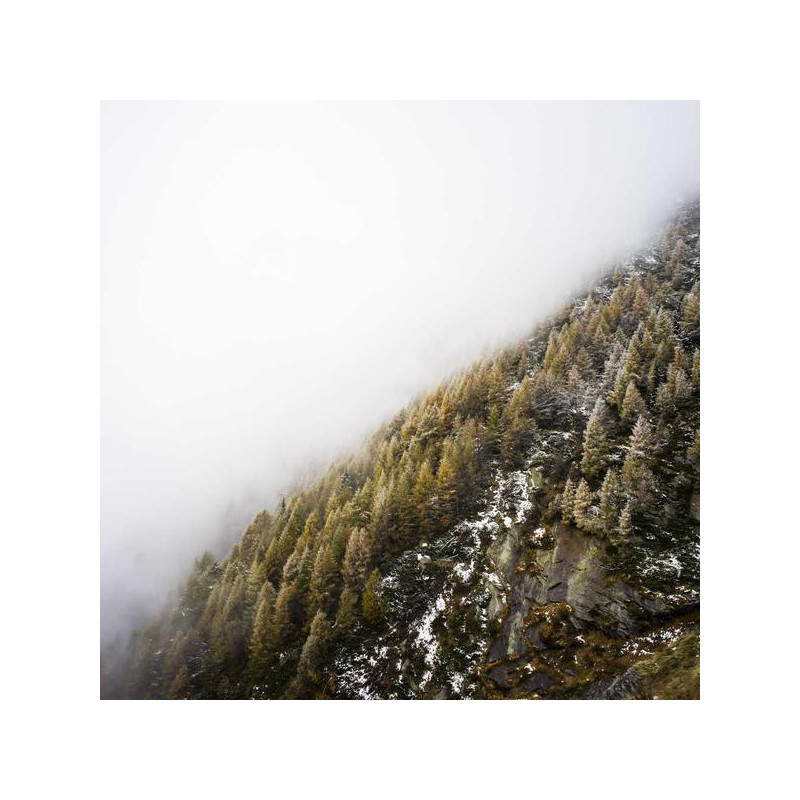 Gel apaisant aphtes 8ml