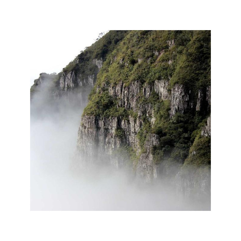 Dentifrice enfant fraise 50ml