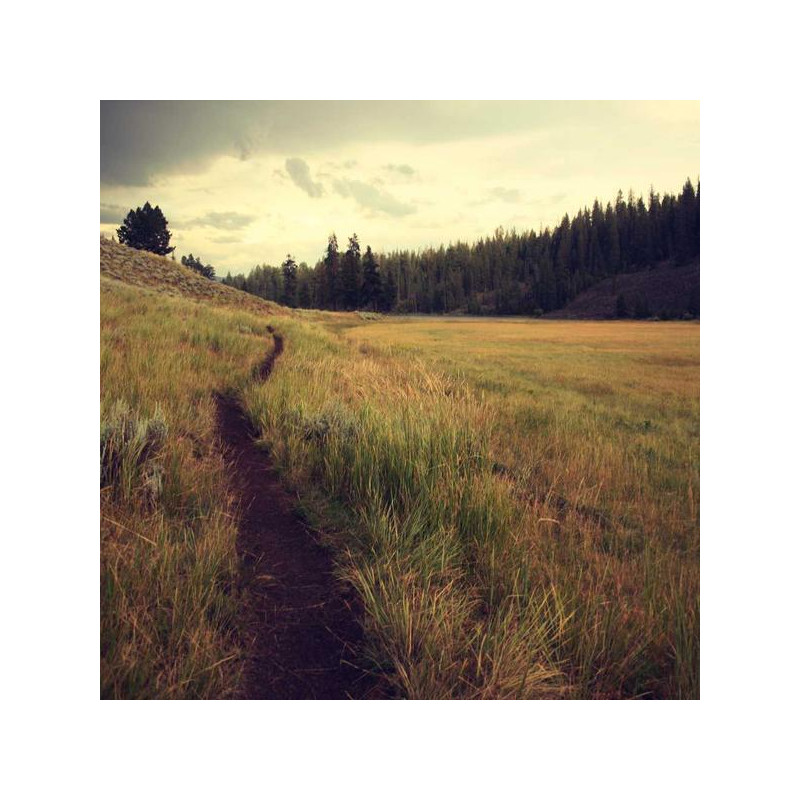 Magnésium marin 60 gélules