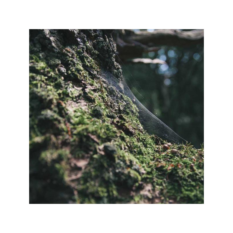 Oméga-3 huile de poisson 60 caps