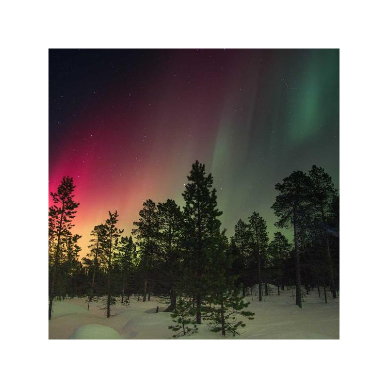 Probiotiques 30 gélules