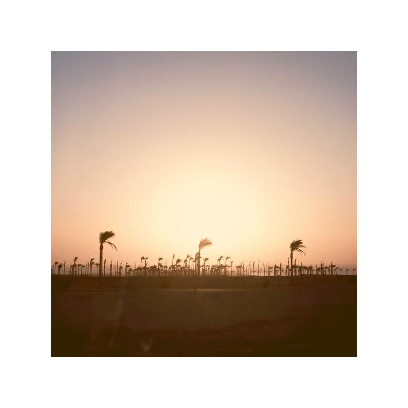 Curcuma + poivre noir 60 caps