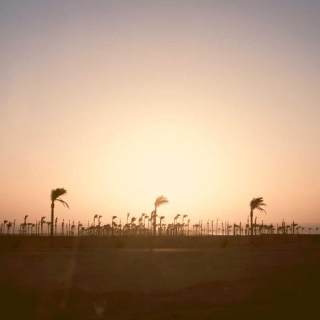 Curcuma + poivre noir 60 caps