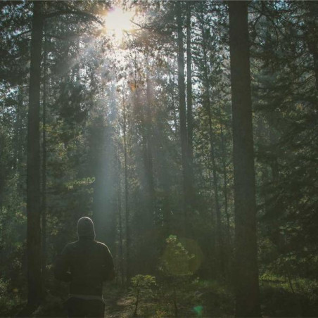 Lait après-soleil aloe vera 200ml