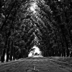 Crème solaire teintée SPF50 50ml