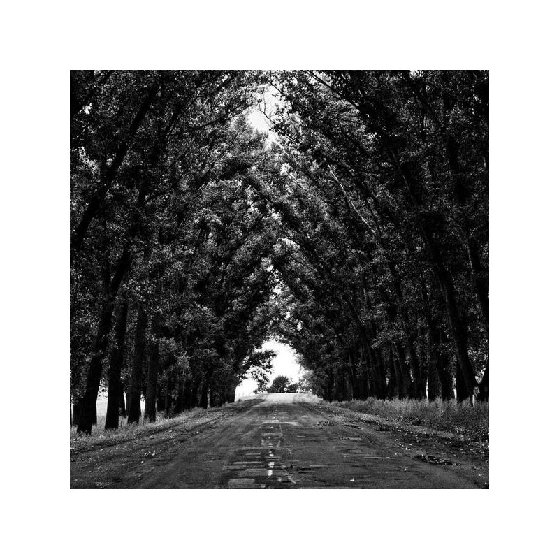 Crème solaire teintée SPF50 50ml