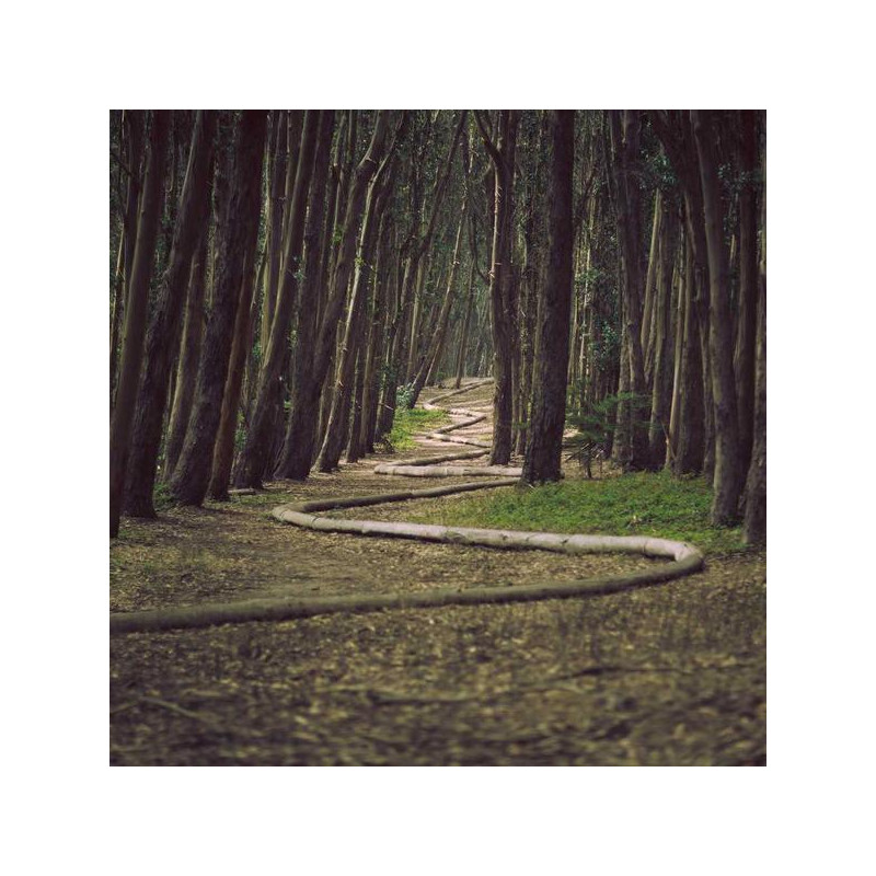 Roll-on solaire poche SPF50 50ml