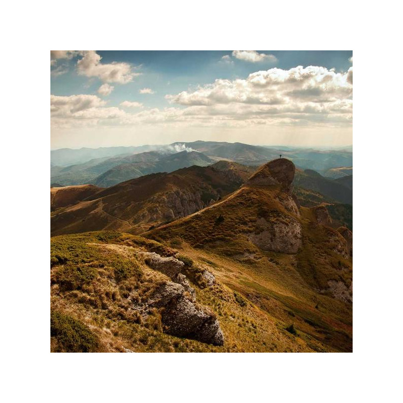 Coupe-faim chrome 60 gél.