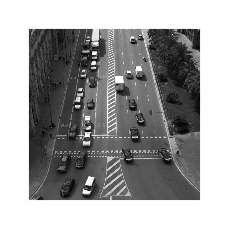 Tisane détox 20 sachets